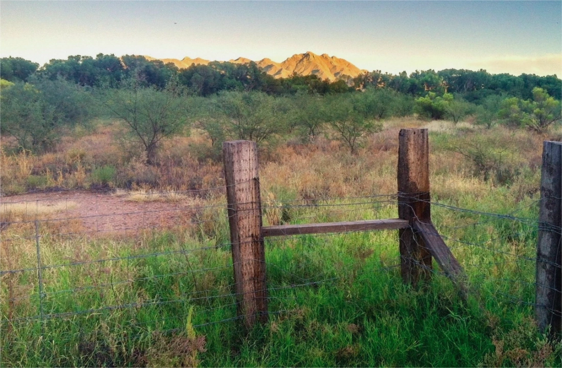 Illinois land parcel records for How to Sell Land Without a Realtor in Illinois