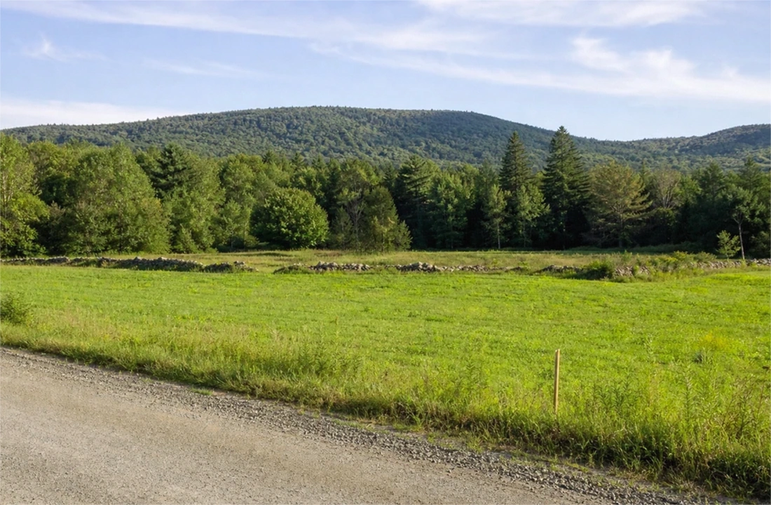 Illinois land closing documents for How to Sell Land Without Clear Title in Illinois